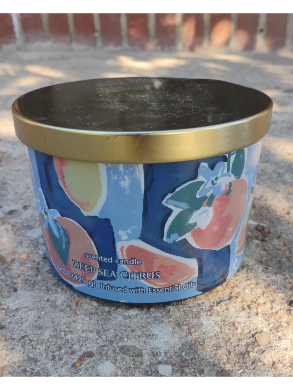 OPALHOUSE Deep Sea Citrus 3 Wick Candle 15 oz Infused with Essential Oils New